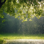 Rain Sounds